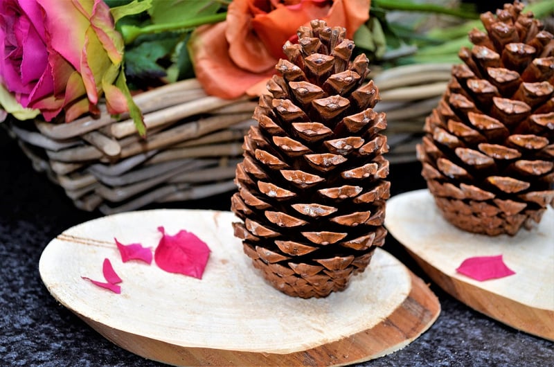 Autumn Crafts