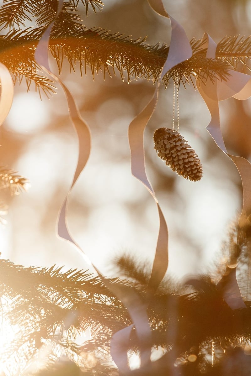 Pine Cone Decorations