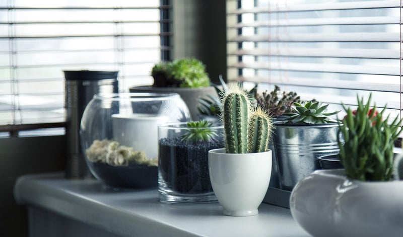 Personalized Planters