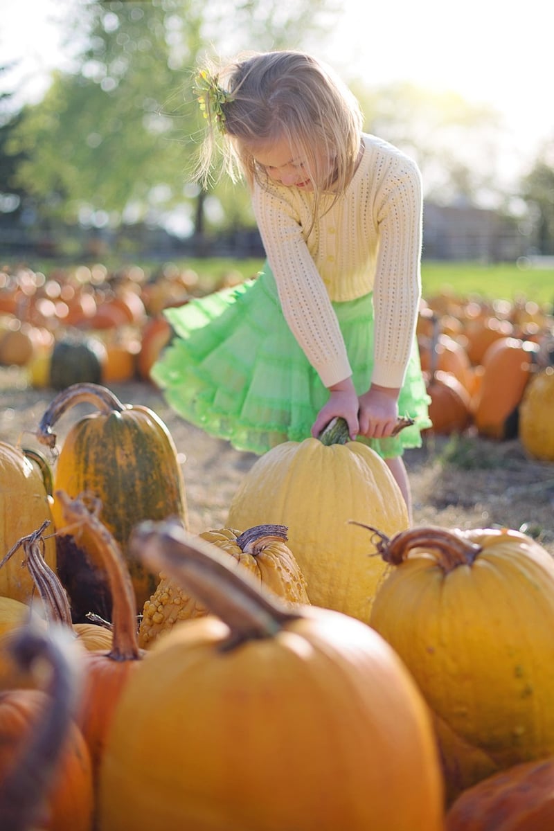 Pumpkin Carving